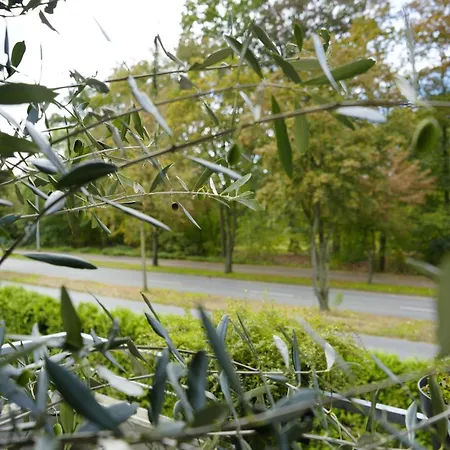 Apartament Modernes 2-zimmer Mit Balkon Munster (North Rhine-Westphalia)