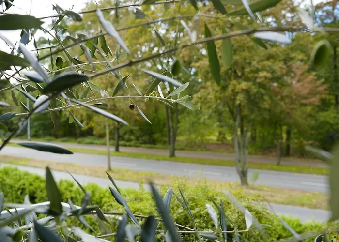 公寓 Modernes 2-zimmer Mit Balkon 蒙斯特