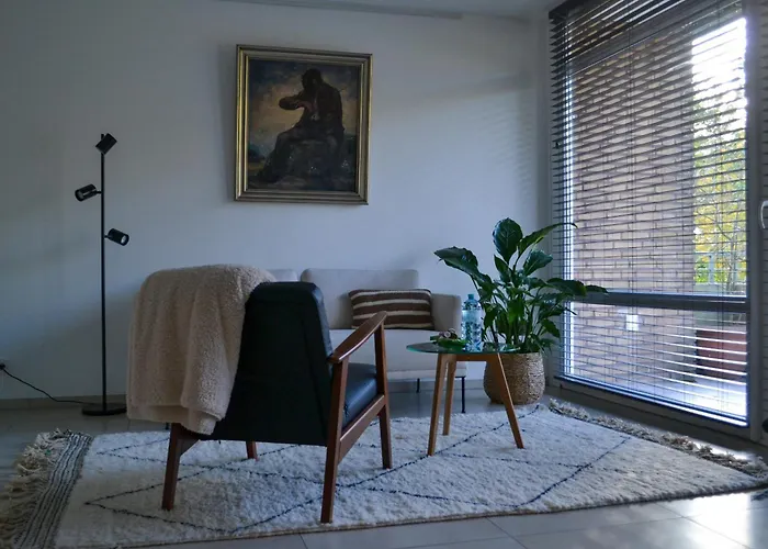 Modernes 2-zimmer Mit Balkon * 蒙斯特